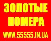 Красивые Золотые номера МТС 050 066 095 099